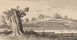 阿尔伯里，1645年。 作者 瓦茨劳斯·霍拉尔