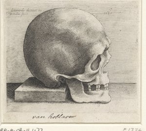 头骨解剖研究 作者 达芬奇（Leonardo da Vinci）