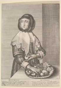 Autumnus-秋天的四分之三季节，1641年。 作者 瓦茨劳斯·霍拉尔