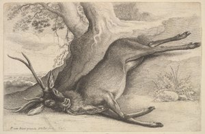 死鹿，1646年。 作者 瓦茨劳斯·霍拉尔