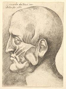 左图为一名男子的Ecorche头，1660年。 作者 瓦茨劳斯·霍拉尔