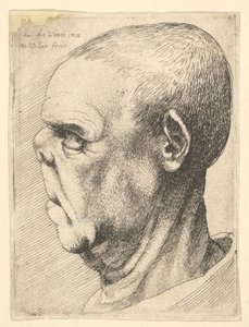 怪诞的老人，鼻子扁平，左侧，1625-77年。