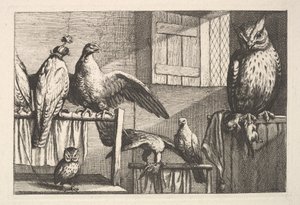鹰和猫头鹰，1625-77。 作者 瓦茨劳斯·霍拉尔