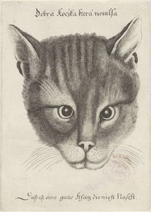 猫头 作者 瓦茨劳斯·霍拉尔