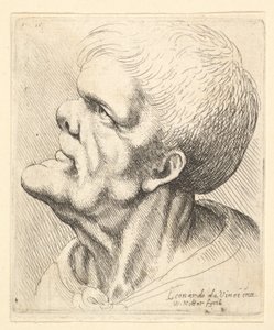 1625-77年，一个男人的头顶着下巴，鼻子下垂，鼻子向上方向上翘。 作者 瓦茨劳斯·霍拉尔