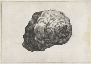Schelp, 涡轮增压发动机
Schelpen (系列名称) 作者 瓦茨劳斯·霍拉尔