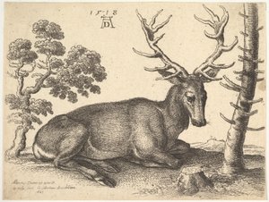雄鹿向右躺着，1649年。 作者 瓦茨劳斯·霍拉尔