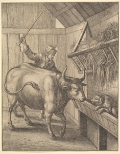 从插图到约翰·奥格比斯（John Ogilbys）的《 sopics：Or A Second Collection ...》（1666）中的狗。 作者 瓦茨劳斯·霍拉尔