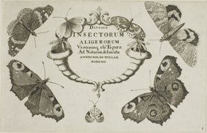 Diversae Insectorum》扉页 作者 瓦茨劳斯·霍拉尔