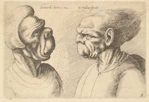 两个向内变形的头部，1625-77。 作者 瓦茨劳斯·霍拉尔