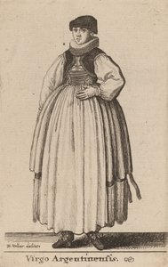 阿根廷处女座（Virgo Argentinensis）。 作者 瓦茨劳斯·霍拉尔
