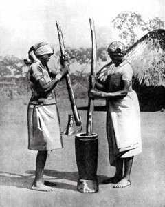 两名马绍纳部落的妇女在捣鼓玉米和小米，非洲津巴布韦，1936年。