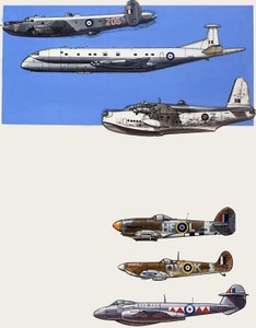 天空中的冒险家 作者 威尔夫（20世纪）哈代