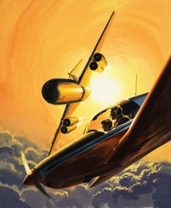 空中安全 作者 威尔夫（20世纪）哈代