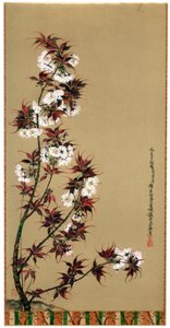 19世纪1886年的三河樱花