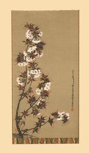 19世纪的三川樱花，1886年