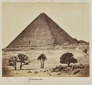 金字塔