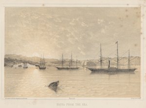 1855年，来自海的纳帕 作者 威廉·约瑟夫·海涅