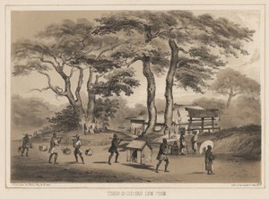 Tshan-Di-Coo-Sah，Lew Chew，1855（石版画） 作者 威廉·约瑟夫·海涅