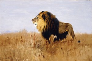 狮子看着猎物， 作者 威廉·库纳特