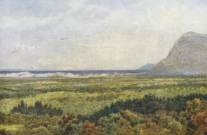 康斯坦丁山谷和福尔斯湾，以及开普角（彩色石版画） 作者 威廉·韦斯特霍芬