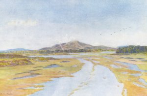 老虎山和迪普河（彩色石版画） 作者 威廉·韦斯特霍芬