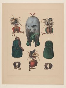 猎鹰的属性 作者 Willem Bastiaan van Wouw (可能)