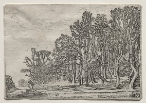 风景集：两个木板篱笆，1616年。