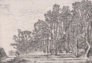 两块木板篱笆，来自Verscheyden Landtschapjes各种小景观，图版6，...，约1616年。