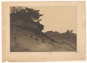 沙流上的灌木丛 作者 Willem Witsen（艺术家签名）