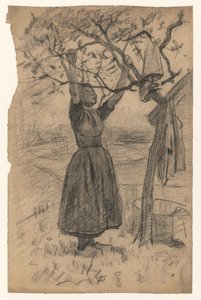 女人把衣服挂在树上，右边
