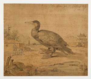 WD 961 f.6 作者 威廉·亚历山大