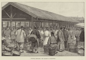 中国素描，上海市场 作者 威廉·巴恩斯（William Barnes）羊毛