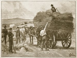 拯救船长抵制的庄稼，插图来自&39;卡塞尔的英国插图历史&39;雕刻（棕褐色照片） 作者 威廉·巴恩斯（William Barnes）羊毛