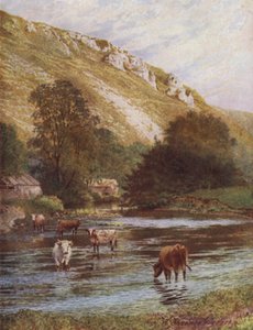 On the Wye, Upper Dale Farm, Monsal Dale (colour litho) 作者 威廉·比斯科姆·加德纳