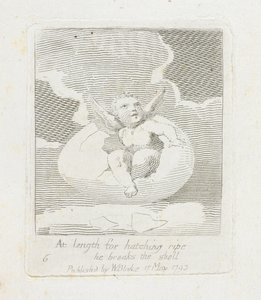 在孵化成熟的长度他打破了壳牌，从&39;For Children。 “天堂之门”，1793年 作者 威廉·布雷克