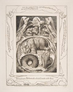 巨兽和利维坦（Leviathan），摘自《约伯记》插图，1825-26年。 作者 威廉·布雷克