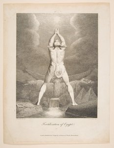 埃及的受精过程 伊拉斯谟-达尔文，植物园，1791年。 作者 威廉·布雷克