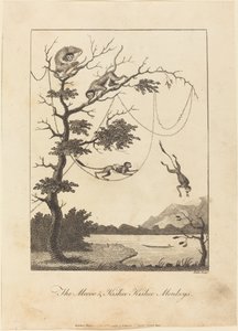 梅库和基斯比基斯猴，1793年。 作者 威廉·布雷克