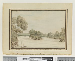 奥普。 页。 120.`杰克逊港上部的景色； 当鱼被射杀时。”，约 1802 年（水彩） 作者 威廉布拉德利
