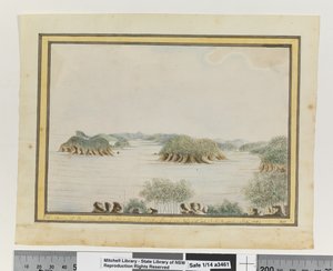 Opp. p. 93. `SW. Arm of Broken Bay New South Wales from an Island at the Entrance. Sepr 1789