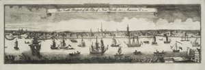1761年在北美纽约市的南部前景 作者 威廉·伯吉斯