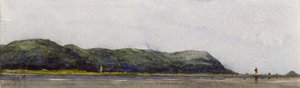 Point Sikree Gully, Rajmahal Hills》，印度，1843年 作者 威廉·克莱里休