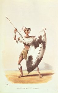 Lingap，一个Matabili战士，来自&39;南非的野生体育&39;的插图，由WC Harris，1841年