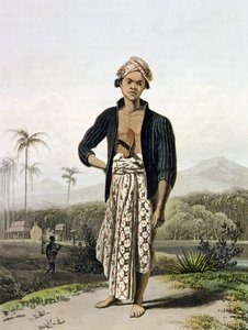 下层的爪哇，第2卷，第2卷。我是托马斯·斯坦福德莱佛士（1781-1826）的“爪哇历史”。 1817年（aquatint）