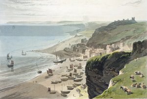 来自东崖的黑斯廷斯，来自“1814年至1825年间英国的一次航行”，1823年出版 作者 威廉·丹尼尔