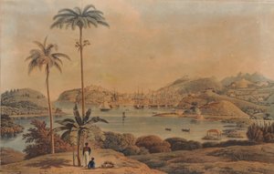 格林纳达岛上圣乔治镇和里士满高地的风景，威尔逊中校从海湾拍摄，1819年 作者 威廉·丹尼尔