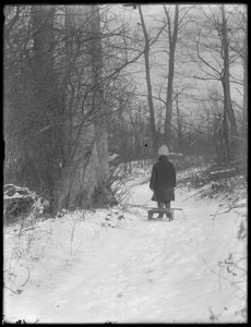 1912年，威廉·格雷·哈斯勒（William Gray Hassler）将雪橇拉到白雪皑皑的树林里 作者 威廉·戴维斯·哈斯勒