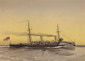 HMS Speedwell，鱼雷炮艇