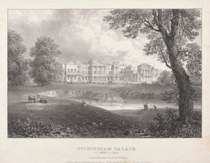 白金汉宫 作者 威廉·高奇